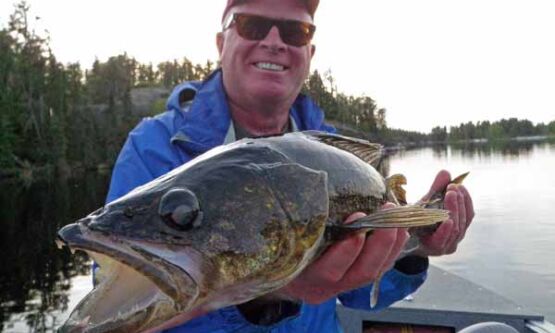 Schaible 008s 9145131703 o