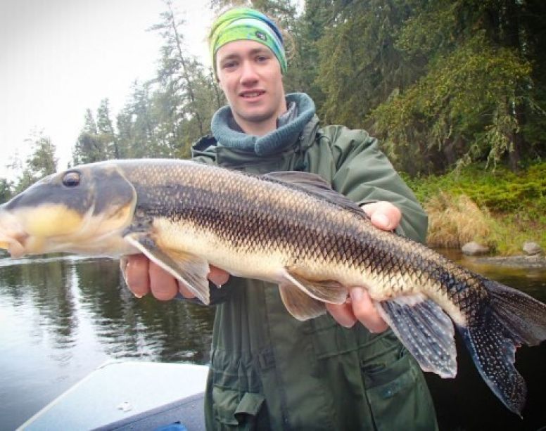 Guide Training Day 2 3 2s